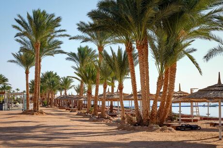 İzmir Çıkışlı Sharm El Sheikh Turu 2 - 6 Nisan