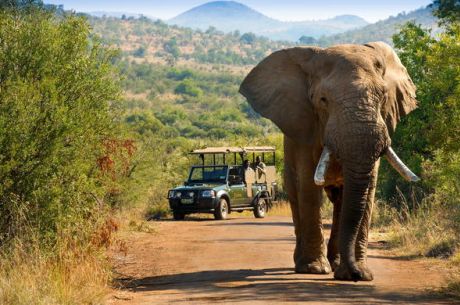 İzmir Çıkışlı Güney Afrika Turu